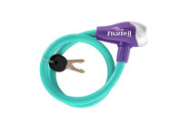 Bike locks