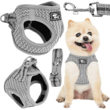 Springos Pressure-free dog and cat harness set Springos PA0236, S 6-8 kg + 150 cm leash, grey