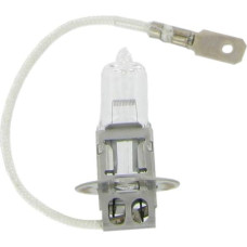 Bottari Halogen bulb H3 12V 55W