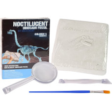 Excavation kit Dinosaur 3D