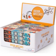 Recent Toys logic game "Brain Matches"