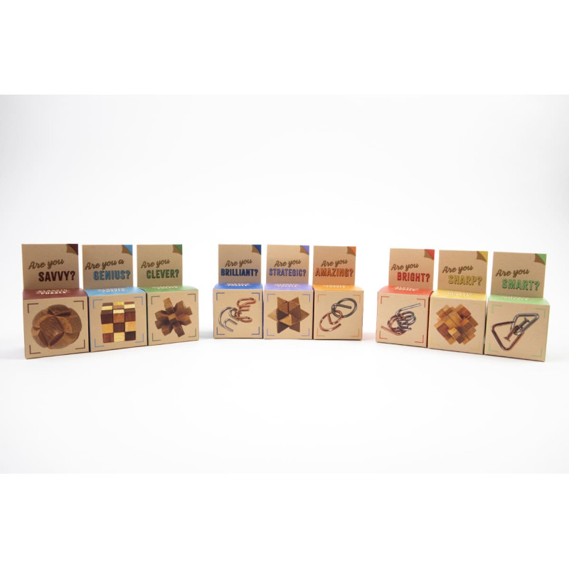 Recent Toys Loģikas spēle "Are You Series"