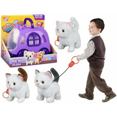 Other 625433 KOT NA SMYCZY