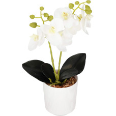 Springos Artificial orchid Springos HA7423