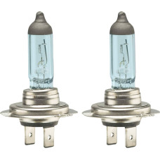 Bottari Halogen bulbs H7 