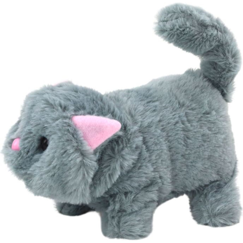 Interaktiivne kass, hall