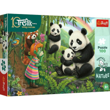 PANDY *100*