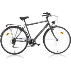 Dino Bikes Men's bicycle 28'' "TREKKING", grey