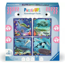 Ravensburger Puzzle UP 4in1 Sea Creatures &ndash; 4 Puzzles 5+