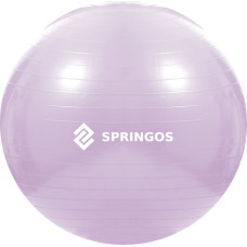 Springos Exercise ball with pump Springos FB0011 65 cm