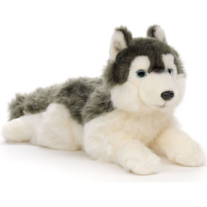 Uni-Toys Plush toy Dog Husky, 25 cm