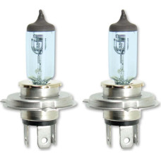 Bottari High power halogen bulbs H4 