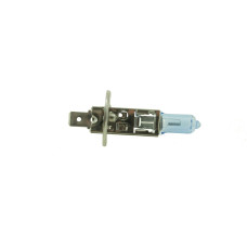 Bottari Halogen bulb H1 12V 55W 