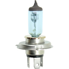 Grand Prix Halogen bulb H4 12V 60/55W P43T 