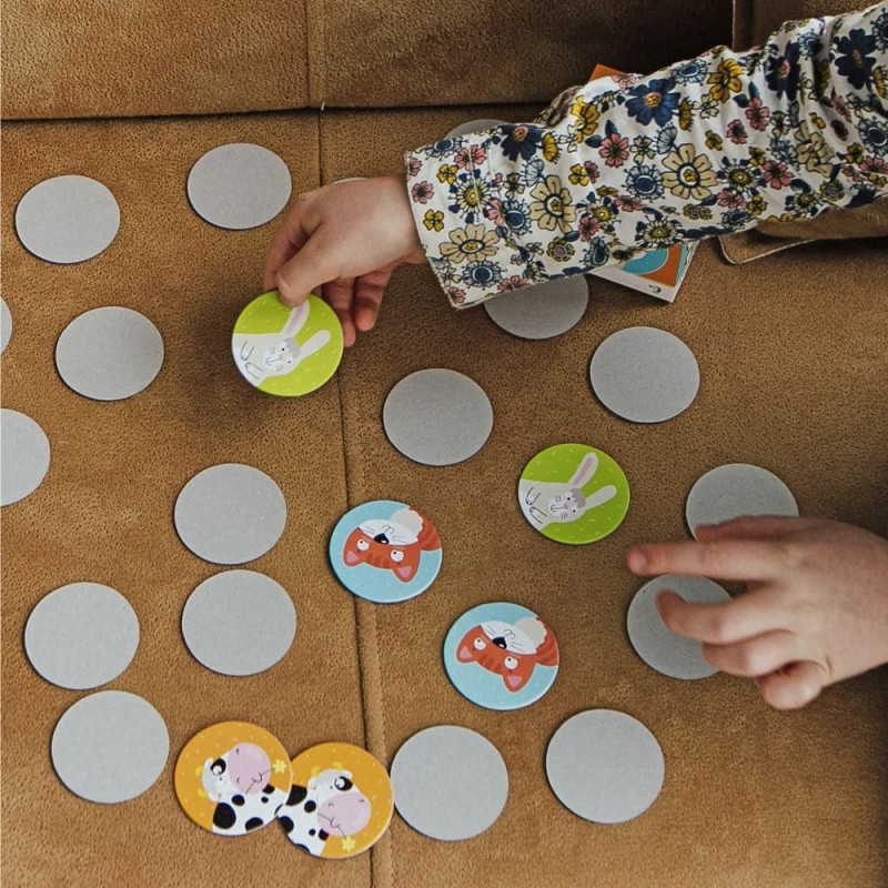 Dodo Board games Memo game Animals