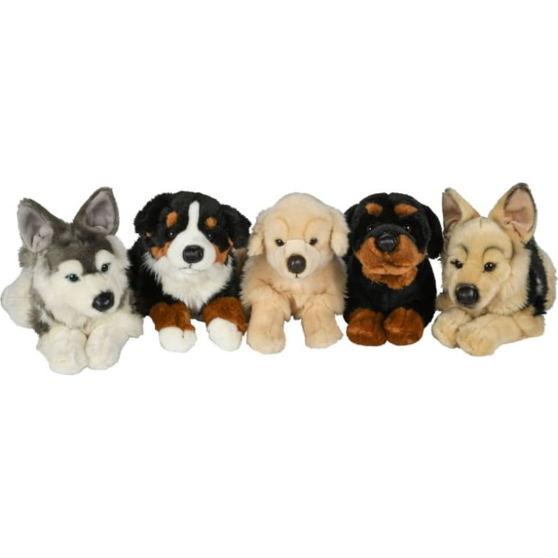 Uni-Toys Plush toy Dogs, various, medium, four types, 25 cm