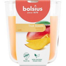 Bolsius Svece arom. stikla gl. True Scents &Oslash;97x85mm mango