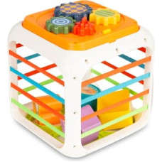 Toyz EDUCATIONAL TOY - SORTER DICE