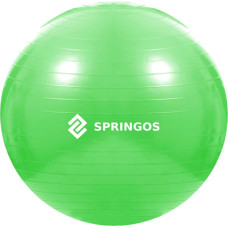 Springos Exercise ball with pump Springos FB0007 65cm