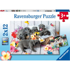 Ravensburger Puzzle 2x12 pcs Little Furballs