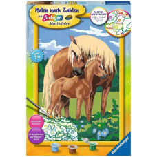 Ravensburger Paint by numbers 31x21 cm Horses