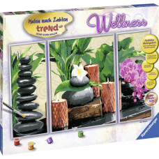 Ravensburger Paint by Numbers &ndash; Wellness