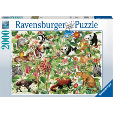 RAVENSBURGER puzle Jungle,  2000gab., 16824