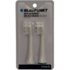 Blaupunkt ACC024