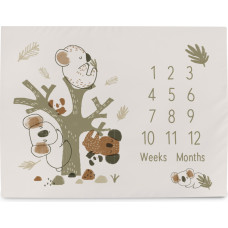 Cebababy CEBA 309-000-729 Foto mata 92x72 Basic Koala