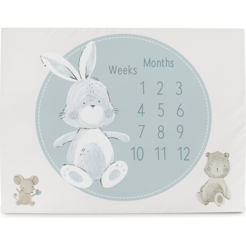 Cebababy CEBA 309-000-730 Foto mata 92x72 Basic Friends