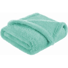 1095 MINT POLAR BLANKET