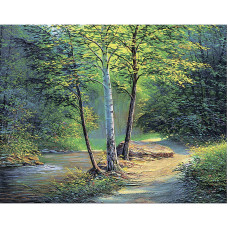 TSVETNOY Diamond painting 40x50cm Birches, LG259e