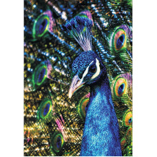 TSVETNOY Diamond painting 40x50cm Peacock, LG187e