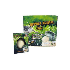 HIPO reptile egg, ZA-0044