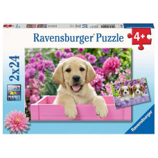 Ravensburger puzzle 2X24 Me and my pal R 05029