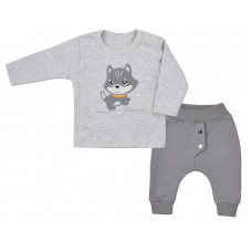 KOALA DOGGY pants with the shirt 74 size AM1-214 gray