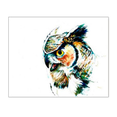 TSVETNOY Diamond painting 30x40cm Great Horned Owl, LE016e