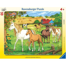 Ravensburger Frame puzzle 46pcs. 4+, 06646