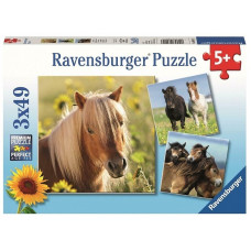 Ravensburger puzzle 3x49 Horses R 08011