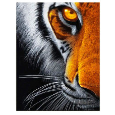 TSVETNOY Diamond painting 40x50cm Eye of the Predator, LG167e