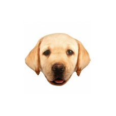 SPLAT PLANET Cushion 40x50cm LABRADOR SP44792