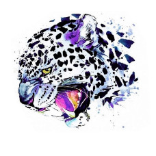 TSVETNOY Diamond painting 30x40cm Snow Leopard, LE017e