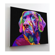 SPLAT PLANET Diamond painting 30x40cm DOG, SP46406