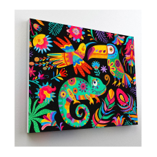 SPLAT PLANET Diamond painting 30x40cm FIESTA, SP46598