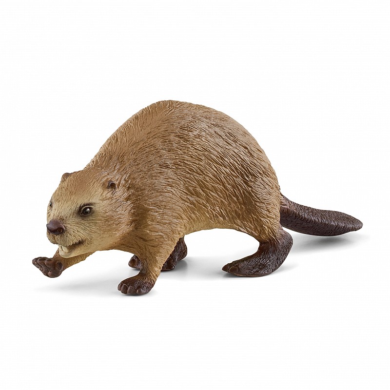 SCHLEICH WILD LIFE figurine Beever