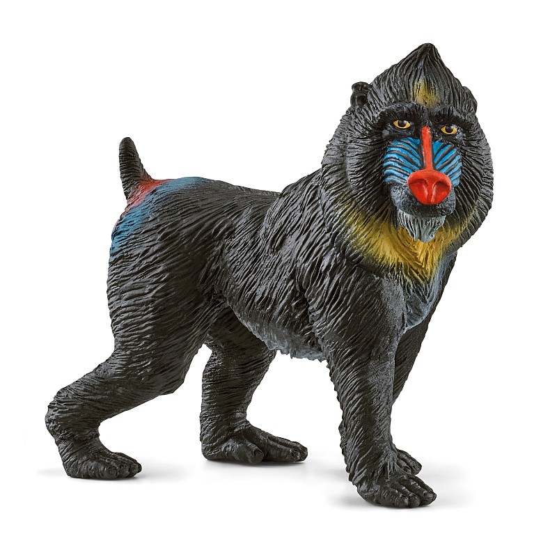 SCHLEICH WILD LIFE Mandrill