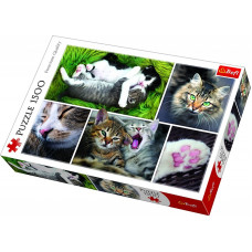 Trefl Puzzle Cats, 1500 pcs.